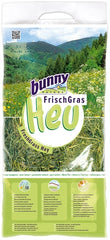 Bunny Nature Vers Gras Hooi