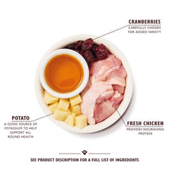 Lily's Kitchen Cat Adult Chicken Casserole